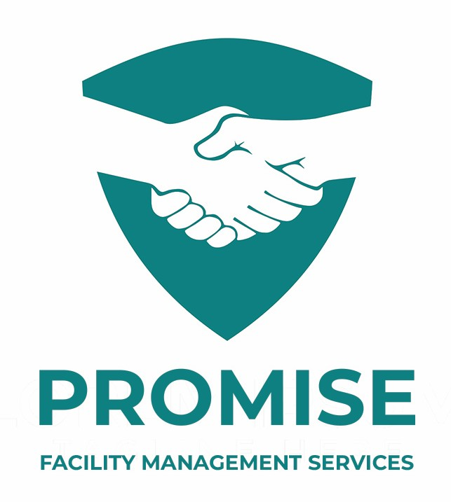 Promise FMS Logo